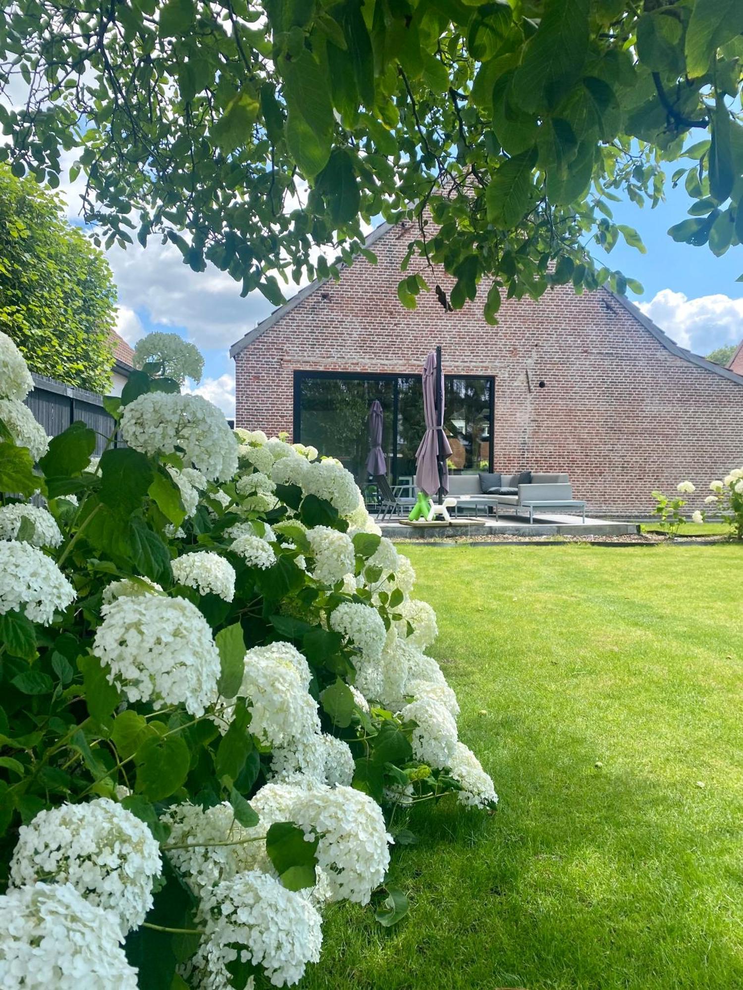 Hoeve De Kleinheide Dessel Eksteriør billede