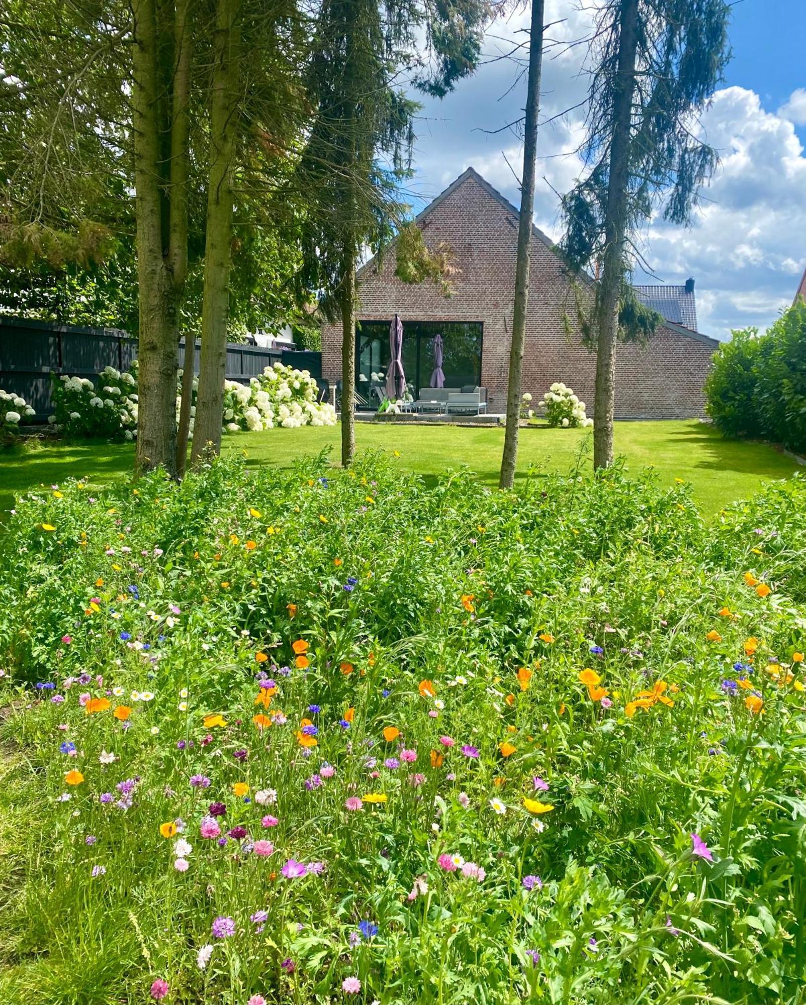 Hoeve De Kleinheide Dessel Eksteriør billede