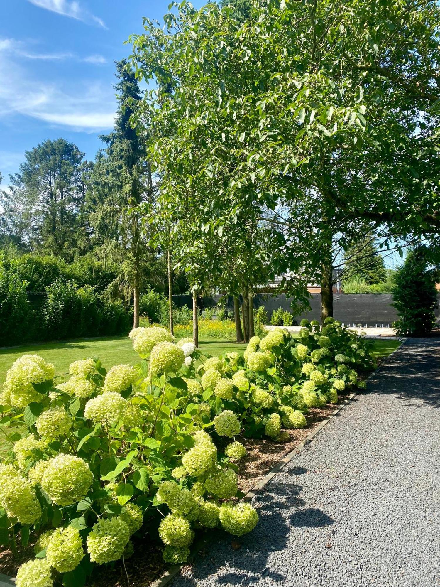 Hoeve De Kleinheide Dessel Eksteriør billede