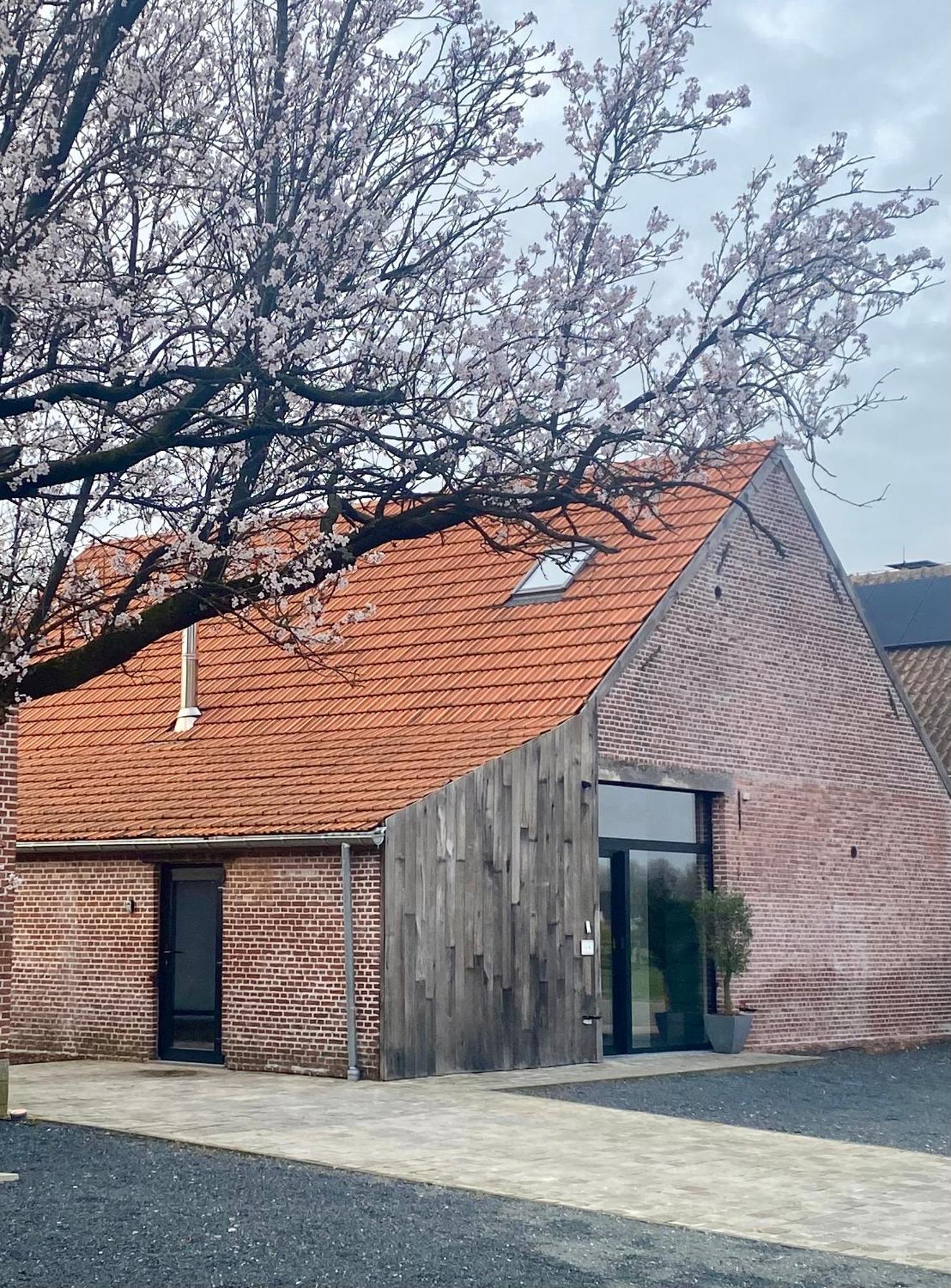 Hoeve De Kleinheide Dessel Eksteriør billede